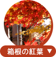 箱根の紅葉メニューボタン
