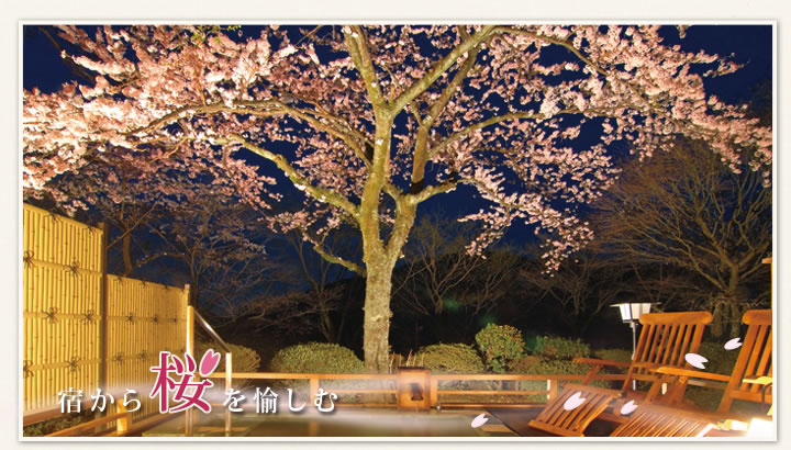 箱根の宿から桜を楽しむ
