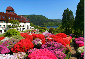 山のホテルのツツジ・石楠花の写真