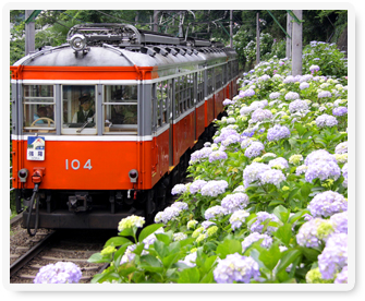 箱根登山鉄道の写真
