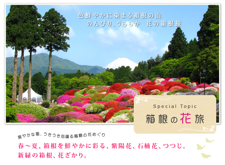 箱根の花旅