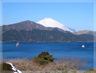 恩賜公園と富士山の写真