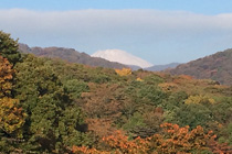 強羅からの富士山