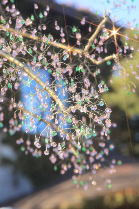 桜　ガラスの森