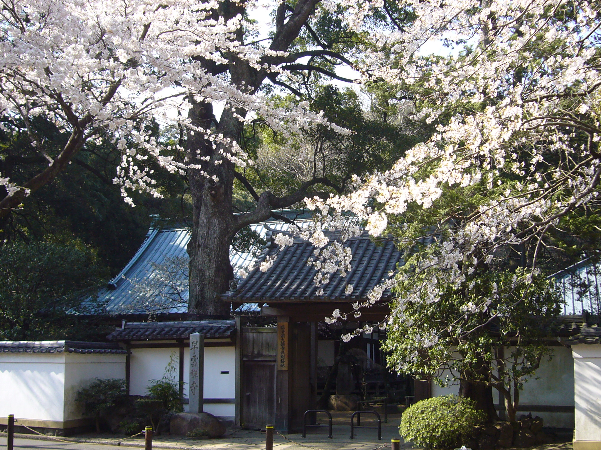 早雲寺2