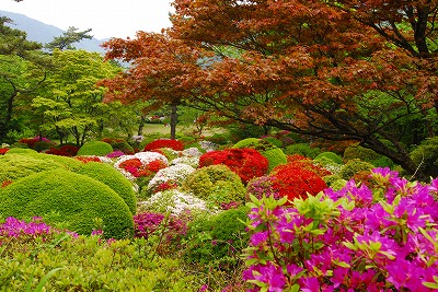 蓬莱園