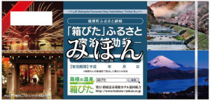 じうんさま専用　箱ぴた　箱根　宿泊補助券　2枚　40000円分