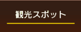 イベント情報
